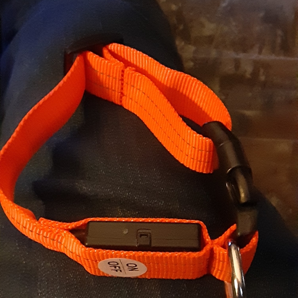 Small red light up dog collar